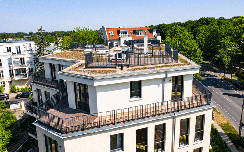 project view